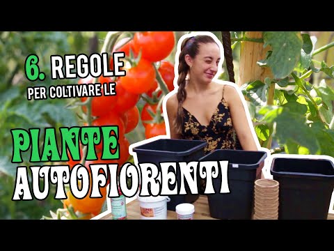 Video: Coltivare piante autoseminanti - Informazioni sull'uso di piante che si auto-seminano nei giardini