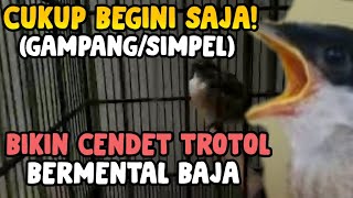 Easy Way And Maximum Results To Make Cendet Steel Mentality Bang Ucups Version