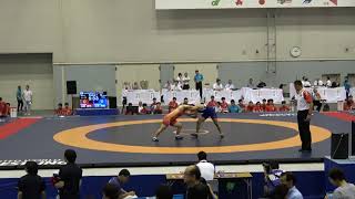 2018IH 女子個人 74kg級 準々決勝　山田（熊本）vs山本（愛知）
