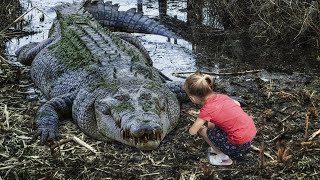 The SALTWATER CROCODILE - is one of the strongest and most powerful creatures!