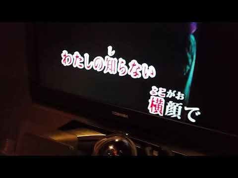 キツネンダイが歌う lemon/米津玄師 一部