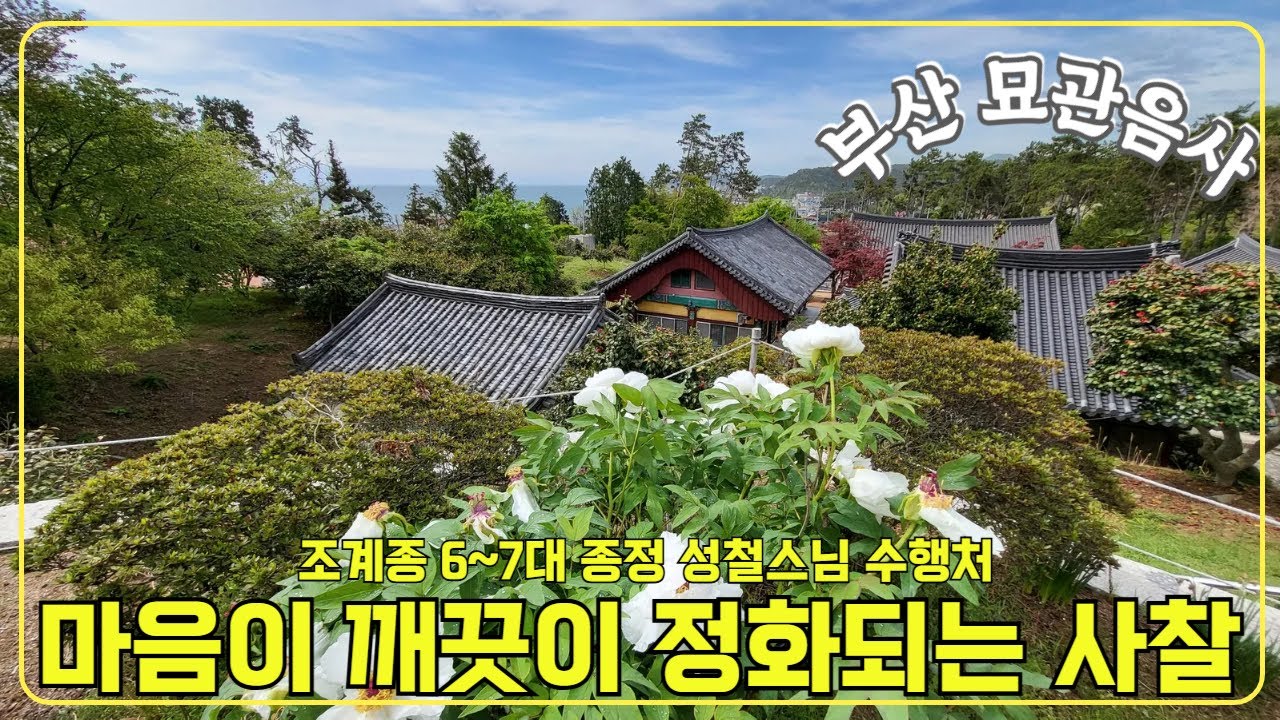 [부산-묘관음사]마음이 깨끗이 정화되는 사찰/ 조계종 6~7대 종정 성철스님 수행처/기장맛집추천(서산불낙지)