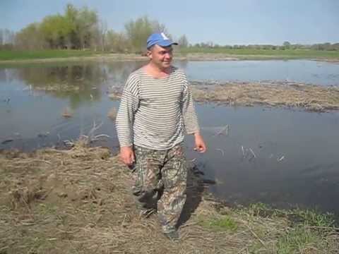 Погода зко на месяц