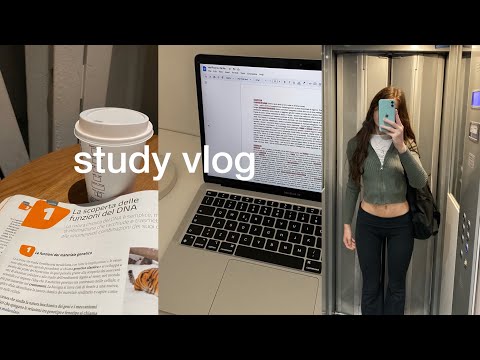 study vlog (3