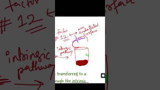 Primary Platelet plug formation and coagulation