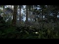 Rust - щупаем обновление | классика день 2