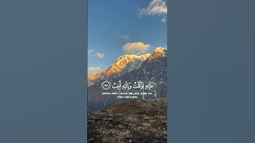 وما توفيقي إلا بالله عليه توكلت وإليه أنيب #العفاسي #تلاوات_هادئة #القرآن_الكريم #المصحف_الشريف