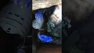 RAT FLAP FITTING. Not a nice job!!! #sewers #drainspecialist #pestcontrol Profile