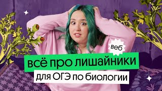 ЛИШАЙНИКИ: ВСЁ, ЧТО НУЖНО ЗНАТЬ ДЛЯ ОГЭ ПО БИОЛОГИИ