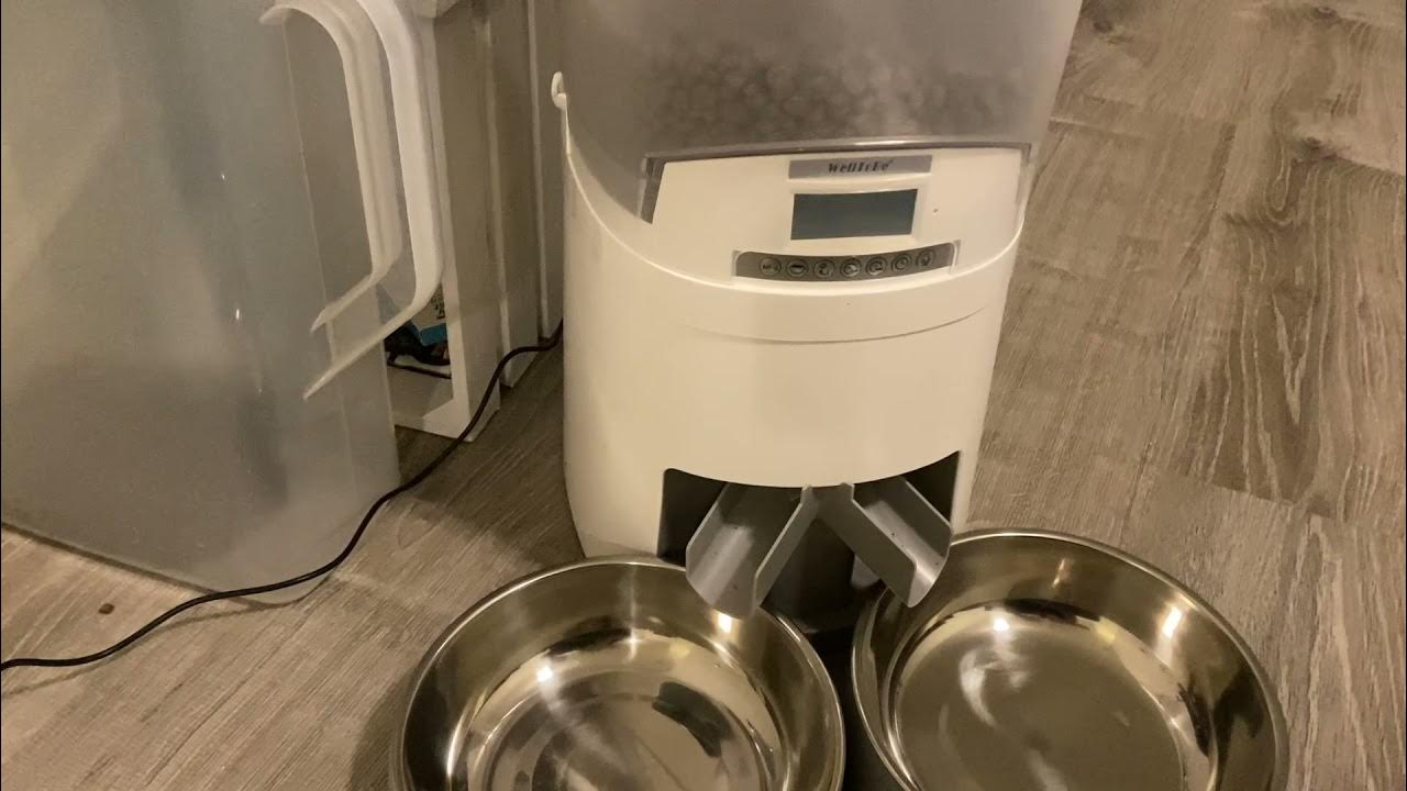 Automatic Pet Feeder – livingEZ