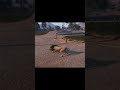 That time I turned into a puma ... | GTA V Online