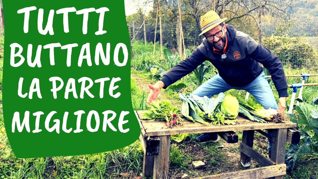 RACCOLTO nell'ORTO AUTUNNALE: cavoli e finocchi SENZA SPRECHI