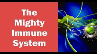 Understanding the Human Immune System: How It Fights Disease