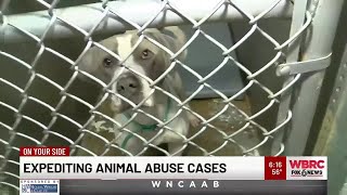 Expediting animal abuse cases
