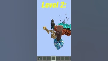 Minecraft Vindicator IQ Test (World
