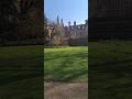 Feel the spring breeze at THall Cambridge🌸🍃 #Spring #Cambridge #THall #university