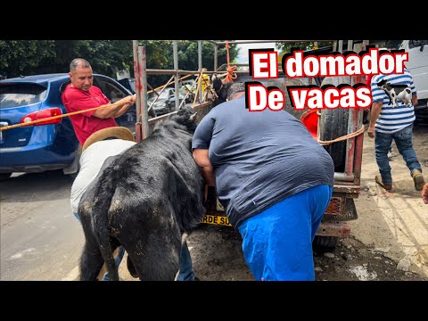 Venta loca de animales en SAN RAFAEL CEDROS El Salvador 