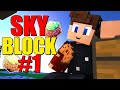 ЛУЧШИЙ СКАЙБЛОК В МАЙНКРАФТЕ? НАЧАЛО ВЫЖИВАНИЯ НА SKYBLOCK HYPIXEL! | СКАЙБЛОК ХАЙПИКСЕЛЬ #1