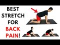 The Best Exercise To Relieve Back Pain! (AT HOME)