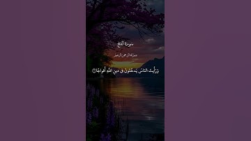 سورة الفتح | #قرآن #المصحف #راحة_نفسية #تلاوة_خاشعة #quran #shortvideo #اكسبلور #القرآن_الكريم #لايك