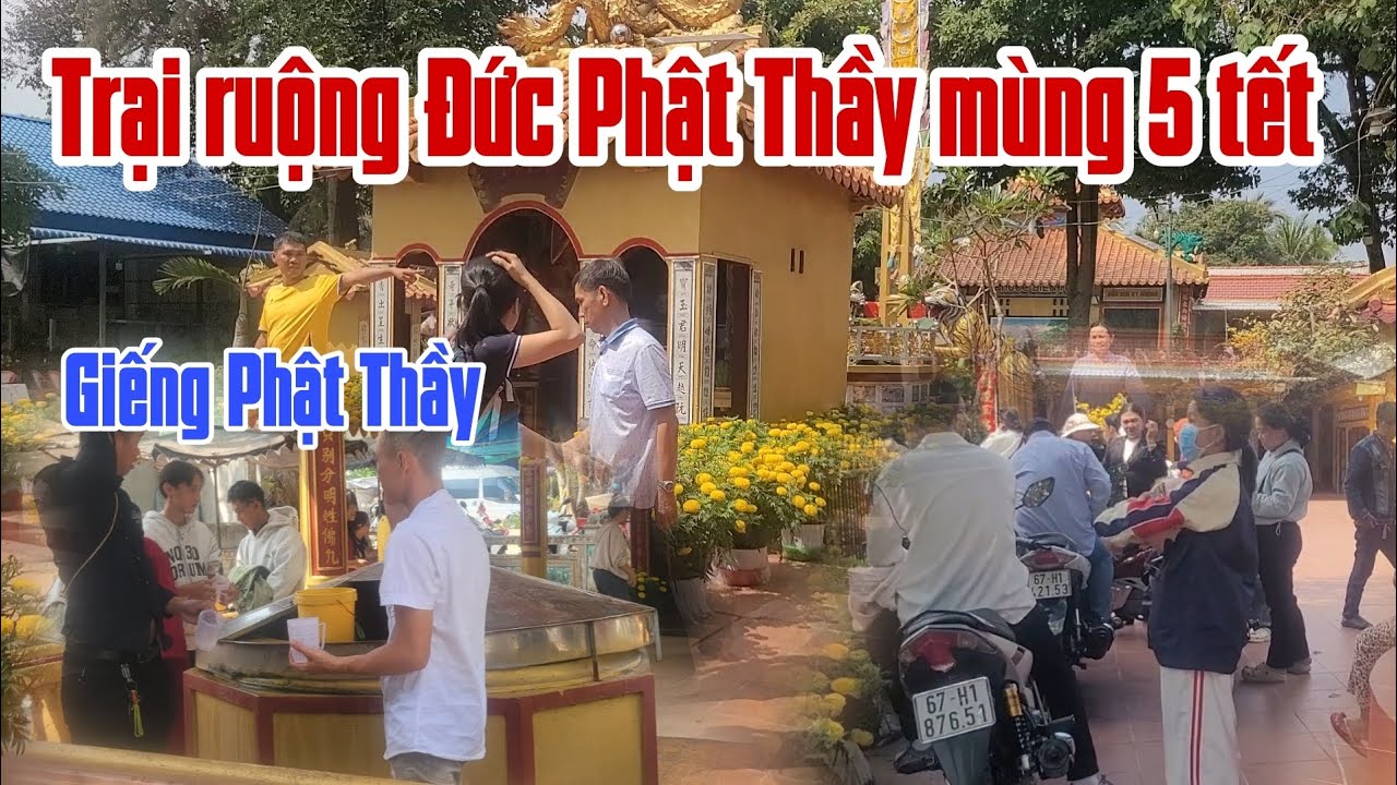 Cập nhật mùng 5 tết.Trại ruộng Đức Phật Thầy Tây An. 