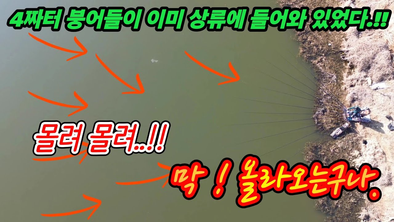 붕어낚시 , 이럴줄 알았다 !! 예상대로 붕어들이 들어와 머물고 이 미끼에 바로 반응 대박인데 (Korean big fishing)
