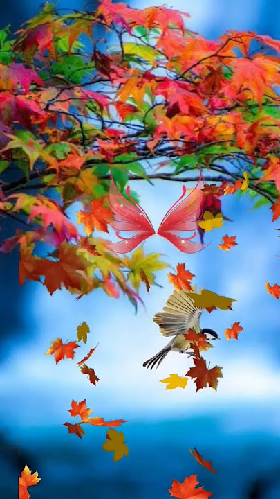 beautiful nature music ringtone