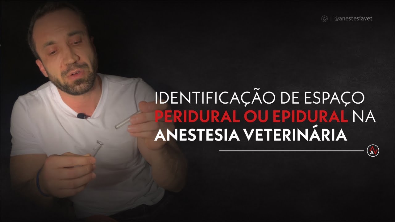 Identificação de espaço peridural ou epidural na Anestesia Veterinária