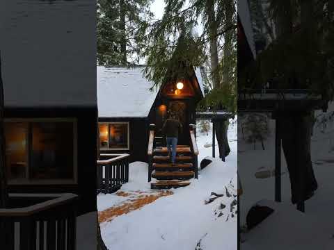 Thumbnail for Levi Kelly Tours