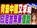 印尼擬發行熊貓債 集資70億元人民幣｜背棄中國又求和 印尼首奔華借錢｜介文汲.謝寒冰.張延廷深度剖析【何橞瑢辣晚報】精華版 @中天新聞CtiNews