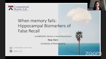 When Memory Fails: Neural Understanding of Episodic Memory Deficits - Noa Herz