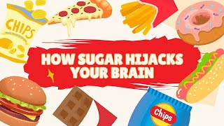 Why Your Brain Is Addicted to Junk Food
