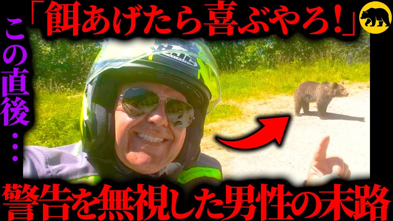 【惨劇】30枚の餌付き禁止看板と周りの忠告を無視した男性…SNS映えが引き起こした悲劇の顛末