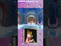 Butt Crystals - Crash Bandicoot N. Sane Trilogy #twitch  #games #gaming #crashbandicot #platformer