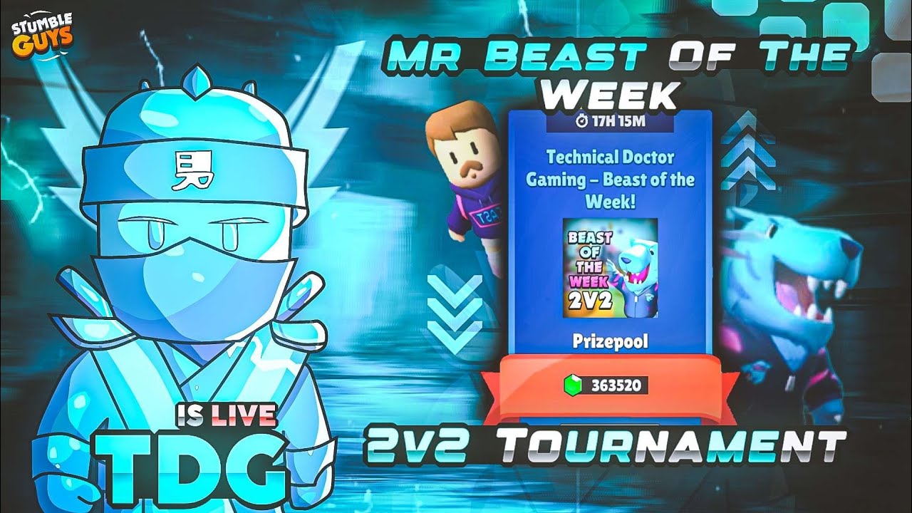 My Tournament Playing with Blaezi | Stumble Guys Live