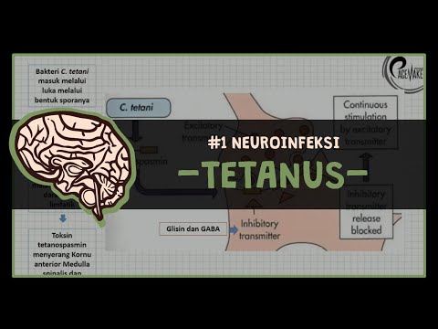 Video: Bagaimana tetanospasmin berfungsi untuk menyebabkan penyakit?