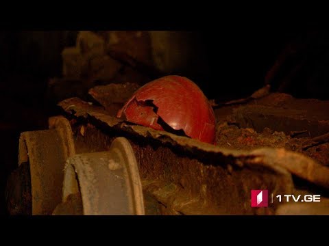 #ახალიკვირა შრომა სიცოცხლის ფასად