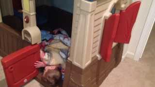twins fall asleep in their playhouse