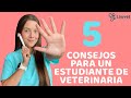 5 CONSEJOS PARA UN ESTUDIANTE DE VETERINARIA - Lauvet