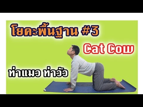 Cat Cow | ท่าแมว ท่าวัว | ฝึกโยคะพื้นฐาน | Warmup & Cool down Pose #3