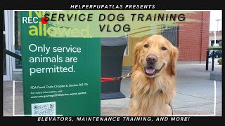 Service Dog Training Vlog | Elevators, maintenance training, and more! | Earthbound, Target & Publix by helperpupatlas 552 views 8 months ago 13 minutes, 31 seconds