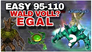 Metin2 Nyx [15] Cruel Forest leveling with PvP Building equipment