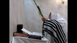 Nadvorna Banya Rebbe Nanuim Sukkos 5787
