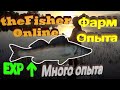 theFisher Online Огромный фарм опыта на 5кг Судаках (Домаха)