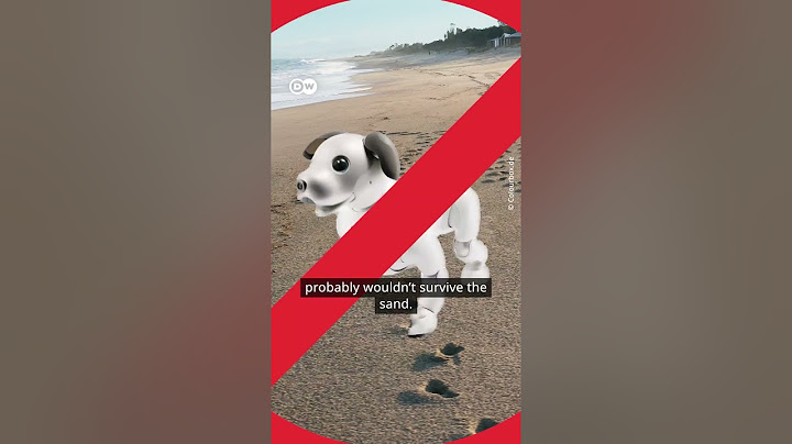 Robot dog vs real dog - which is the better pet? #sony  #robotdog #aibo
