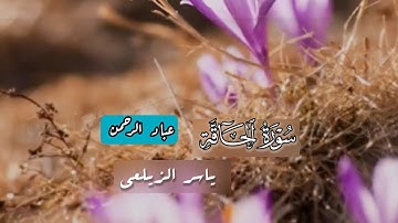 سورة الحاقة كاملة ياسر الزيلعي | مكتوبة
