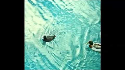 سوره القارعه  سعود الشريم   YouTube