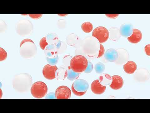 The Science of Ceramides #2