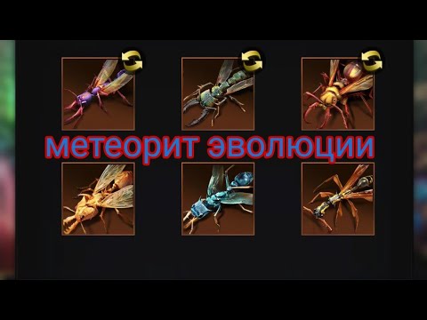 Видео: the ants underground kingdom meteorite of evolution  метеорит эволюции , прорыв , навык прорыва .