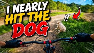 Who Was At Fault Here? 🛑 Near Dog Collision At Sherwood Pines!